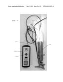 LED DIRECTIONAL LIGHTING SYSTEM WITH LIGHT INTENSITY CONTROLLER diagram and image