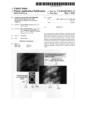 TEMPLATE MATCHING METHOD FOR IMAGE-BASED DETECTION AND TRACKING OF     IRREGULAR SHAPED TARGETS diagram and image