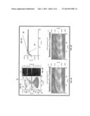 CONSTRUCTING BISMUTH ANTIMONY THIN FILMS WITH ANISOTROPIC SINGLE-DIRAC     CONES diagram and image