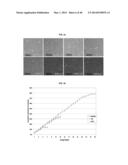 TESTIS SOMATIC CELL-DERIVED PLURIPOTENT STEM CELLS, METHOD FOR PRODUCING     SAME, AND PHARMACEUTICAL COMPOSITION FOR IMPOTENCE TREATMENT INCLUDING     SAME diagram and image