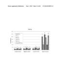 TESTIS SOMATIC CELL-DERIVED PLURIPOTENT STEM CELLS, METHOD FOR PRODUCING     SAME, AND PHARMACEUTICAL COMPOSITION FOR IMPOTENCE TREATMENT INCLUDING     SAME diagram and image