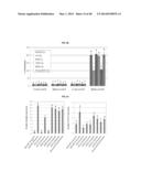 TESTIS SOMATIC CELL-DERIVED PLURIPOTENT STEM CELLS, METHOD FOR PRODUCING     SAME, AND PHARMACEUTICAL COMPOSITION FOR IMPOTENCE TREATMENT INCLUDING     SAME diagram and image