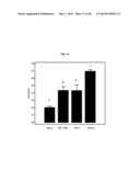 TESTIS SOMATIC CELL-DERIVED PLURIPOTENT STEM CELLS, METHOD FOR PRODUCING     SAME, AND PHARMACEUTICAL COMPOSITION FOR IMPOTENCE TREATMENT INCLUDING     SAME diagram and image