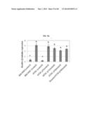 TESTIS SOMATIC CELL-DERIVED PLURIPOTENT STEM CELLS, METHOD FOR PRODUCING     SAME, AND PHARMACEUTICAL COMPOSITION FOR IMPOTENCE TREATMENT INCLUDING     SAME diagram and image