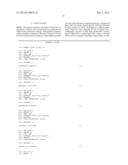 TESTIS SOMATIC CELL-DERIVED PLURIPOTENT STEM CELLS, METHOD FOR PRODUCING     SAME, AND PHARMACEUTICAL COMPOSITION FOR IMPOTENCE TREATMENT INCLUDING     SAME diagram and image