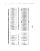 RECOMBINANT FACTOR VIII HAVING ENHANCED STABILITY FOLLOWING MUTATION AT     THE A1-C2 DOMAIN INTERFACE diagram and image