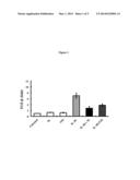 Use of IL-20 Antagonists for Treating Liver Diseases diagram and image