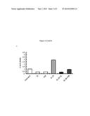 Use of IL-20 Antagonists for Treating Liver Diseases diagram and image