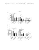 Use of IL-20 Antagonists for Treating Liver Diseases diagram and image