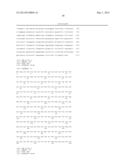 Use of IL-20 Antagonists for Treating Liver Diseases diagram and image