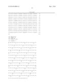 Use of IL-20 Antagonists for Treating Liver Diseases diagram and image