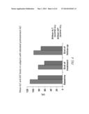 THERAPEUTIC AND DIAGNOSTIC METHODS RELATED TO LYSYL OXIDASE-LIKE 2 (LOXL2) diagram and image