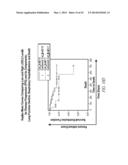 THERAPEUTIC AND DIAGNOSTIC METHODS RELATED TO LYSYL OXIDASE-LIKE 2 (LOXL2) diagram and image