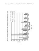 THERAPEUTIC AND DIAGNOSTIC METHODS RELATED TO LYSYL OXIDASE-LIKE 2 (LOXL2) diagram and image