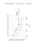 THERAPEUTIC AND DIAGNOSTIC METHODS RELATED TO LYSYL OXIDASE-LIKE 2 (LOXL2) diagram and image