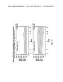 THERAPEUTIC AND DIAGNOSTIC METHODS RELATED TO LYSYL OXIDASE-LIKE 2 (LOXL2) diagram and image