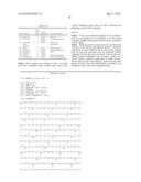 THERAPEUTIC AND DIAGNOSTIC METHODS RELATED TO LYSYL OXIDASE-LIKE 2 (LOXL2) diagram and image