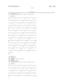 THERAPEUTIC AND DIAGNOSTIC METHODS RELATED TO LYSYL OXIDASE-LIKE 2 (LOXL2) diagram and image