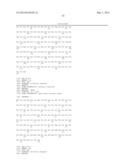 THERAPEUTIC AND DIAGNOSTIC METHODS RELATED TO LYSYL OXIDASE-LIKE 2 (LOXL2) diagram and image