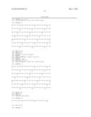 THERAPEUTIC AND DIAGNOSTIC METHODS RELATED TO LYSYL OXIDASE-LIKE 2 (LOXL2) diagram and image