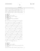 THERAPEUTIC AND DIAGNOSTIC METHODS RELATED TO LYSYL OXIDASE-LIKE 2 (LOXL2) diagram and image