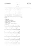 THERAPEUTIC AND DIAGNOSTIC METHODS RELATED TO LYSYL OXIDASE-LIKE 2 (LOXL2) diagram and image