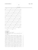 THERAPEUTIC AND DIAGNOSTIC METHODS RELATED TO LYSYL OXIDASE-LIKE 2 (LOXL2) diagram and image