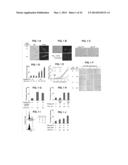 PHOTOSENSITIZING ANTIBODY-FLUOROPHORE CONJUGATES diagram and image