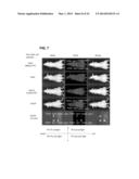 PHOTOSENSITIZING ANTIBODY-FLUOROPHORE CONJUGATES diagram and image