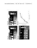 PHOTOSENSITIZING ANTIBODY-FLUOROPHORE CONJUGATES diagram and image