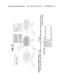 PHOTOSENSITIZING ANTIBODY-FLUOROPHORE CONJUGATES diagram and image