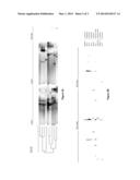 LACTIC ACID BACTERIA AND THEIR USE IN SWINE DIRECT-FED MICROBIALS diagram and image