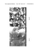 ANTIMICROBIAL MATERIAL AND USES THEREOF diagram and image