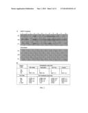 COMPOSITIONS AND METHODS FOR EXOSOME TARGETED EXPRESSION diagram and image