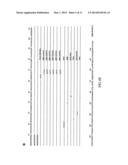 COMPOSITIONS AND METHODS FOR EXOSOME TARGETED EXPRESSION diagram and image