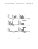 COMPOSITIONS AND METHODS FOR EXOSOME TARGETED EXPRESSION diagram and image