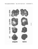 TARGETED LIPOSOMES diagram and image