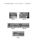 SYNTHESIS AND PROCESSING OF NEW SILSESQUIOXANE/SILOXANE SYSTEMS diagram and image