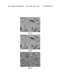 Plating Process to Increase Coin Blank Surface Hardness diagram and image