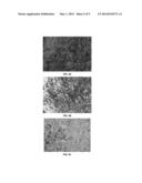 Plating Process to Increase Coin Blank Surface Hardness diagram and image