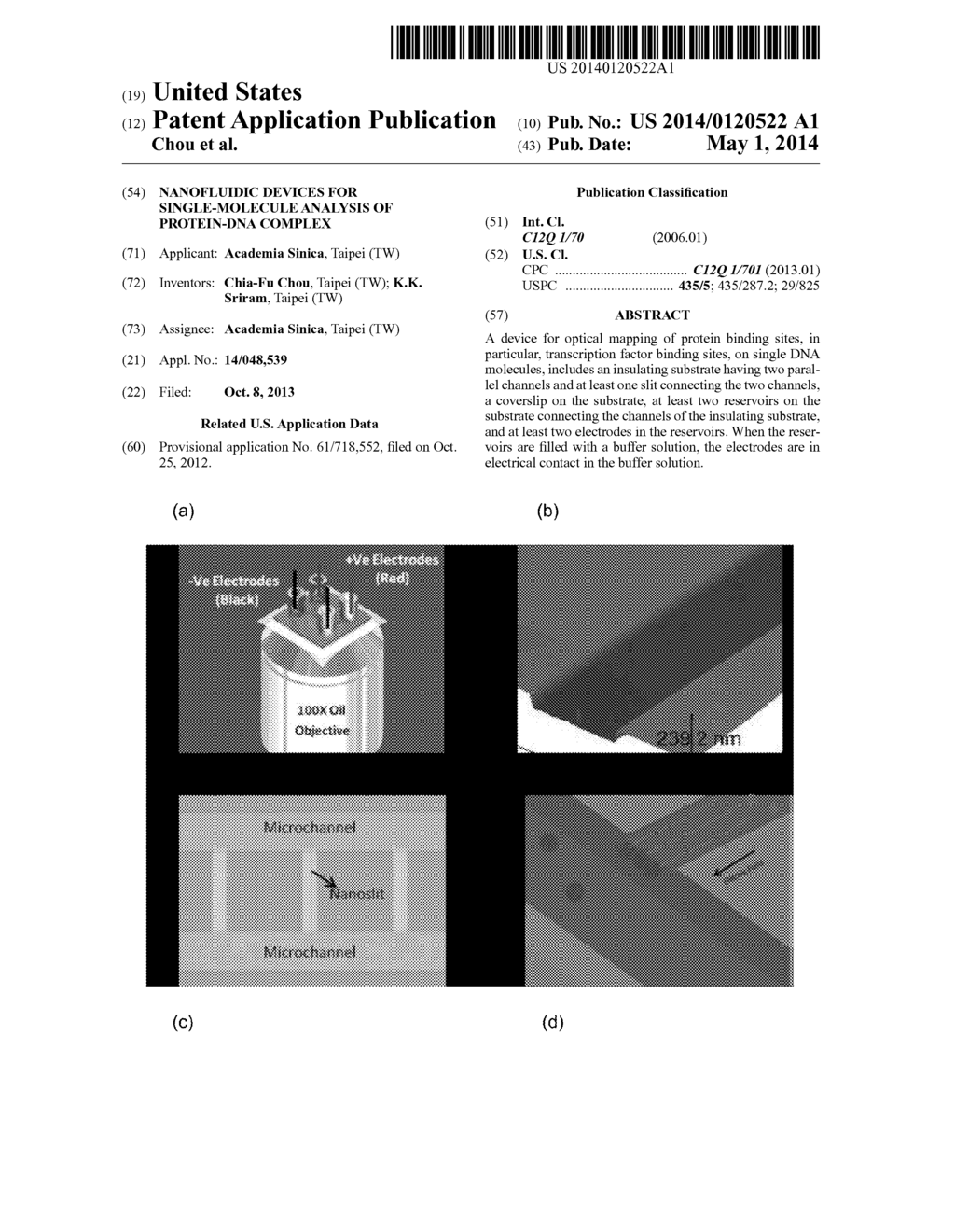 NANOFLUIDIC DEVICES FOR SINGLE-MOLECULE ANALYSIS OF PROTEIN-DNA COMPLEX - diagram, schematic, and image 01