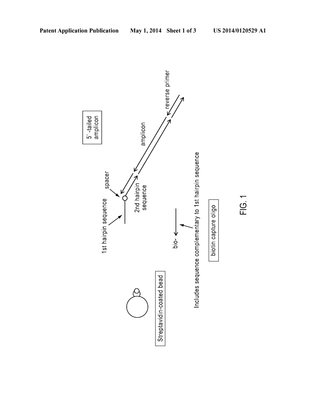 COMPOSITIONS, METHODS, SYSTEMS AND KITS FOR TARGET NUCLEIC ACID ENRICHMENT - diagram, schematic, and image 02