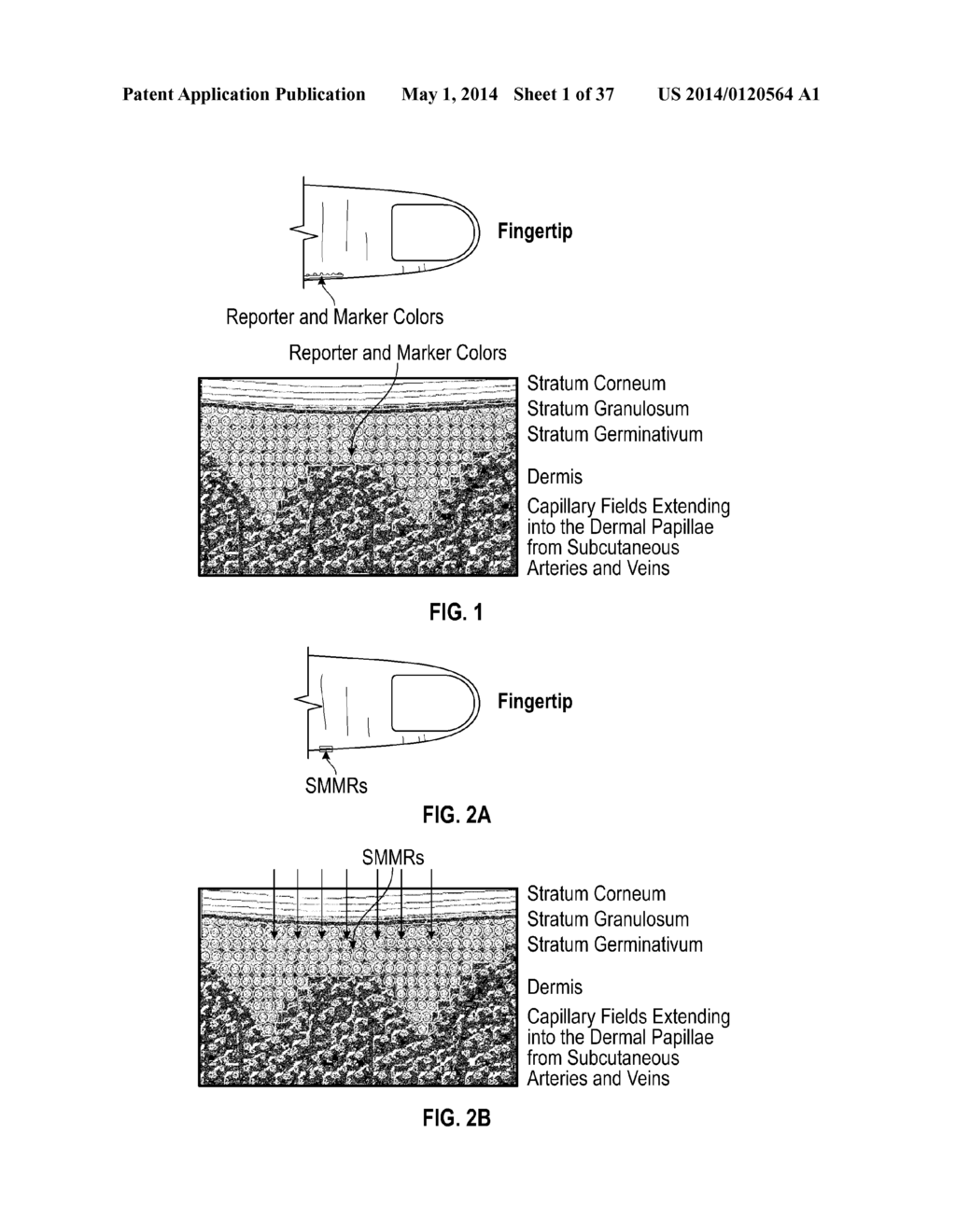 NON-INVASIVE MEASUREMENT OF ANALYTES - diagram, schematic, and image 02