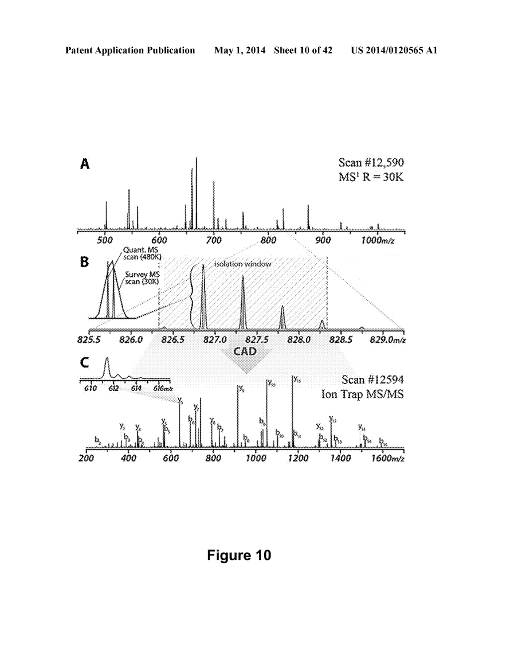 Neutron Encoded Mass Tags For Analyte Quantification - diagram, schematic, and image 11