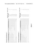 PLANTS FOR PRODUCTION OF THERAPEUTIC PROTEINS diagram and image