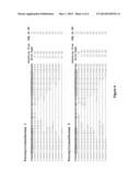 PLANTS FOR PRODUCTION OF THERAPEUTIC PROTEINS diagram and image