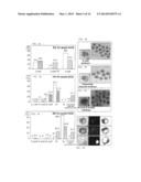 METHODS FOR MODULATING EMBRYONIC STEM CELL DIFFERENTIATION diagram and image