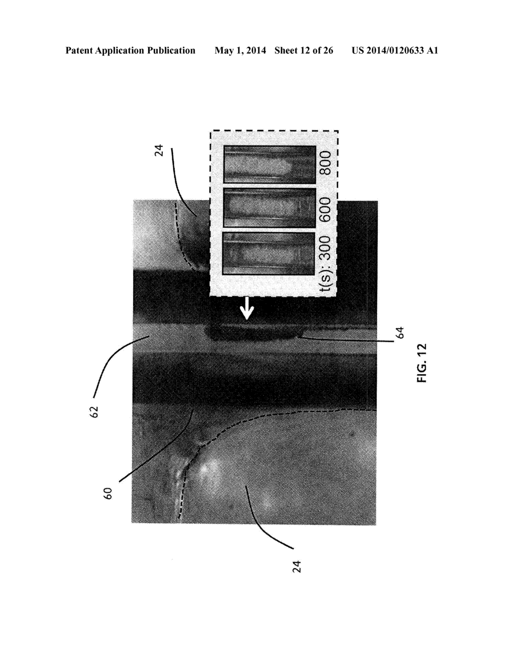 Devices and Methods for Detection and Quantification of Immunological     Proteins, Pathogenic and Microbial Agents and Cells - diagram, schematic, and image 13