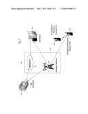 WIRELESS DEVICE EMERGENCY SERVICES CONNECTION AND PANIC BUTTON, WITH CRIME     AND SAFETY INFORMATION SYSTEM diagram and image