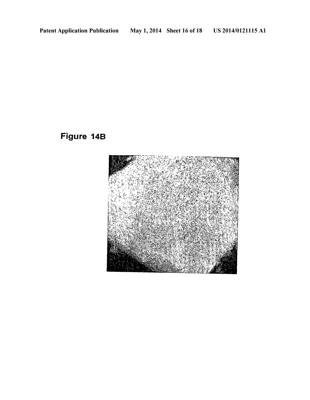 CUSTOM-MADE MEGANUCLEASE AND USE THEREOF - diagram, schematic, and image 17